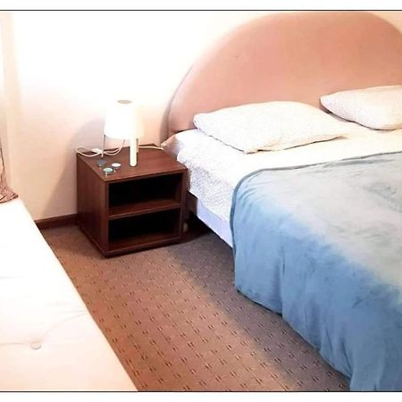 Dobricin Konak, Apartman 202 コパオニク エクステリア 写真