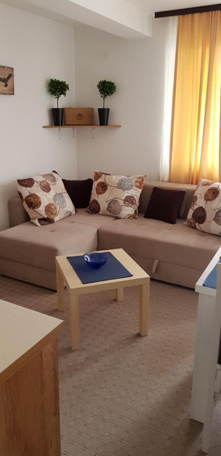 Dobricin Konak, Apartman 202 コパオニク エクステリア 写真