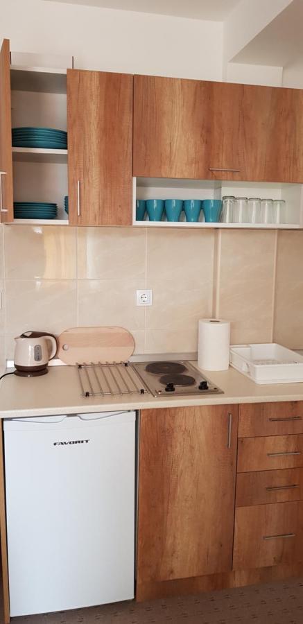 Dobricin Konak, Apartman 202 コパオニク エクステリア 写真