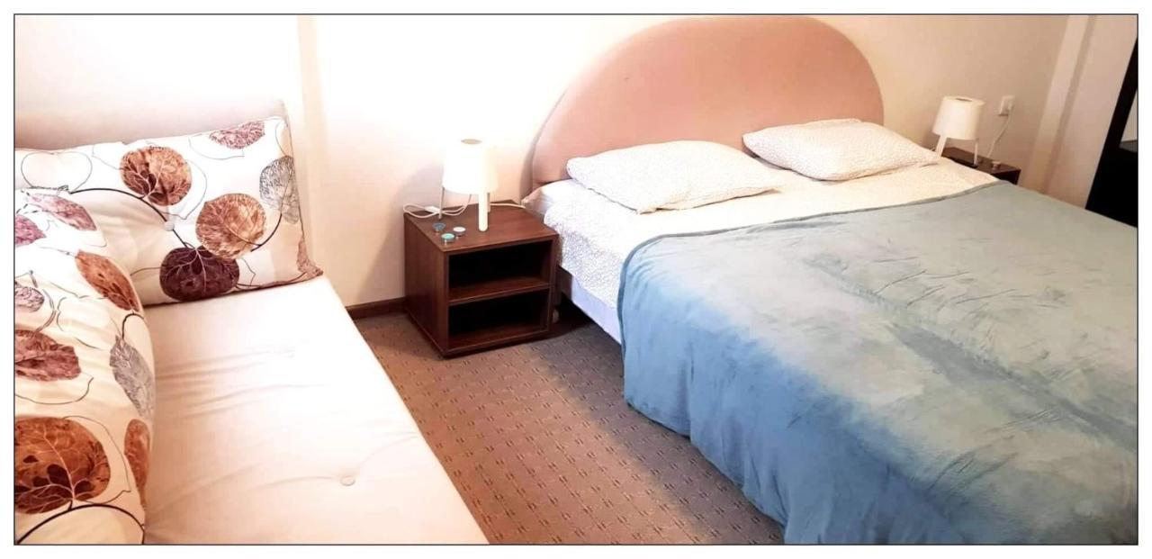 Dobricin Konak, Apartman 202 コパオニク エクステリア 写真