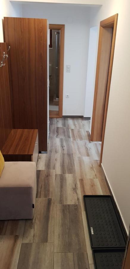 Dobricin Konak, Apartman 202 コパオニク エクステリア 写真