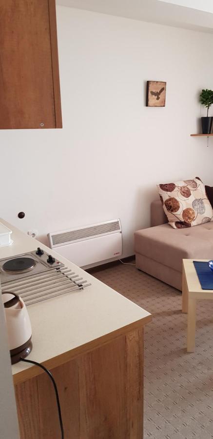 Dobricin Konak, Apartman 202 コパオニク エクステリア 写真